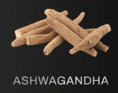 Ashwagandha — an ingredient in Habib Ji Arabian Nights
